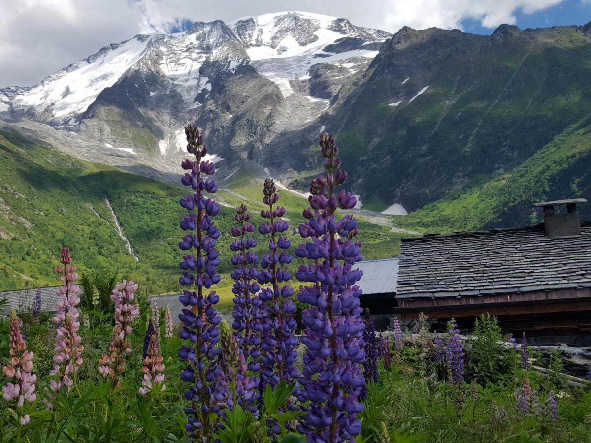 Duo Des Alpages Appartement Saint-Gervais-les-Bains Buitenkant foto