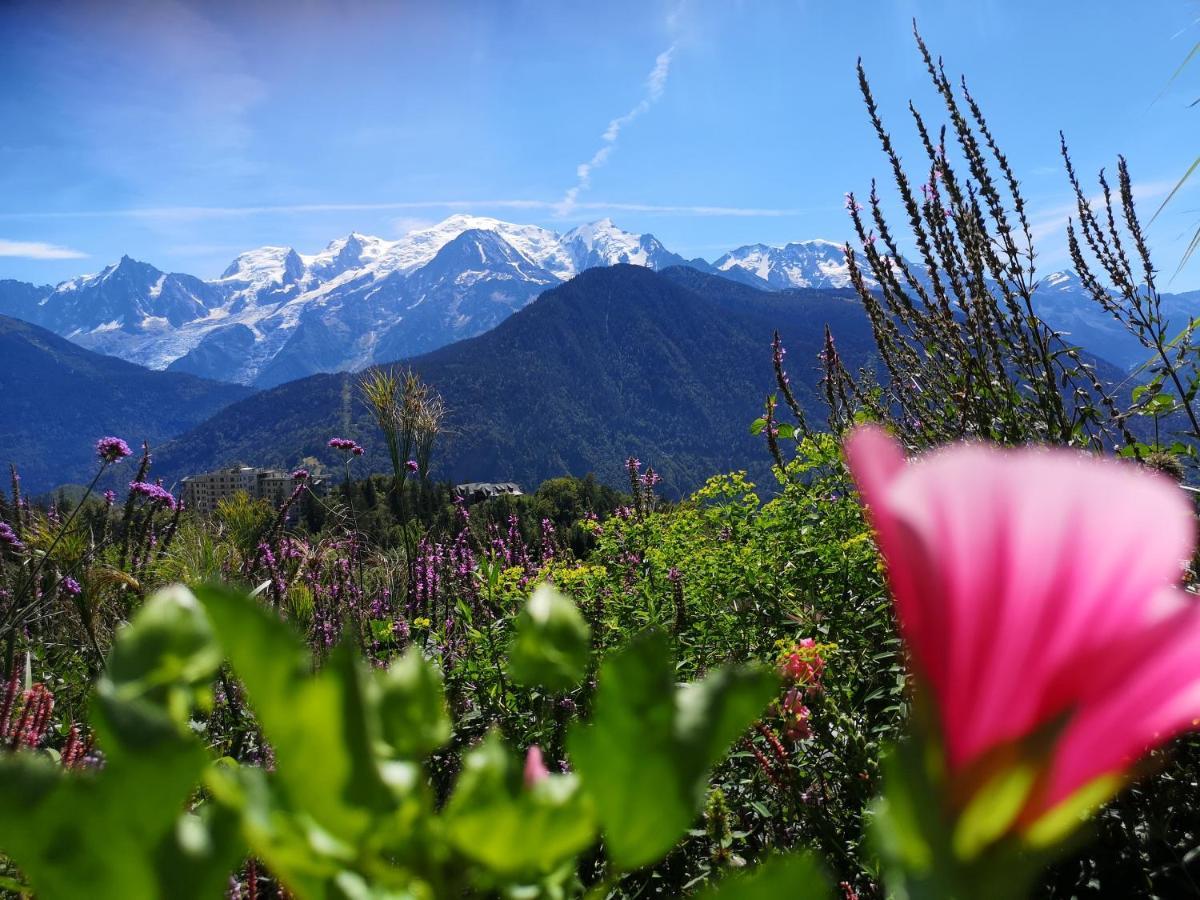 Duo Des Alpages Appartement Saint-Gervais-les-Bains Buitenkant foto