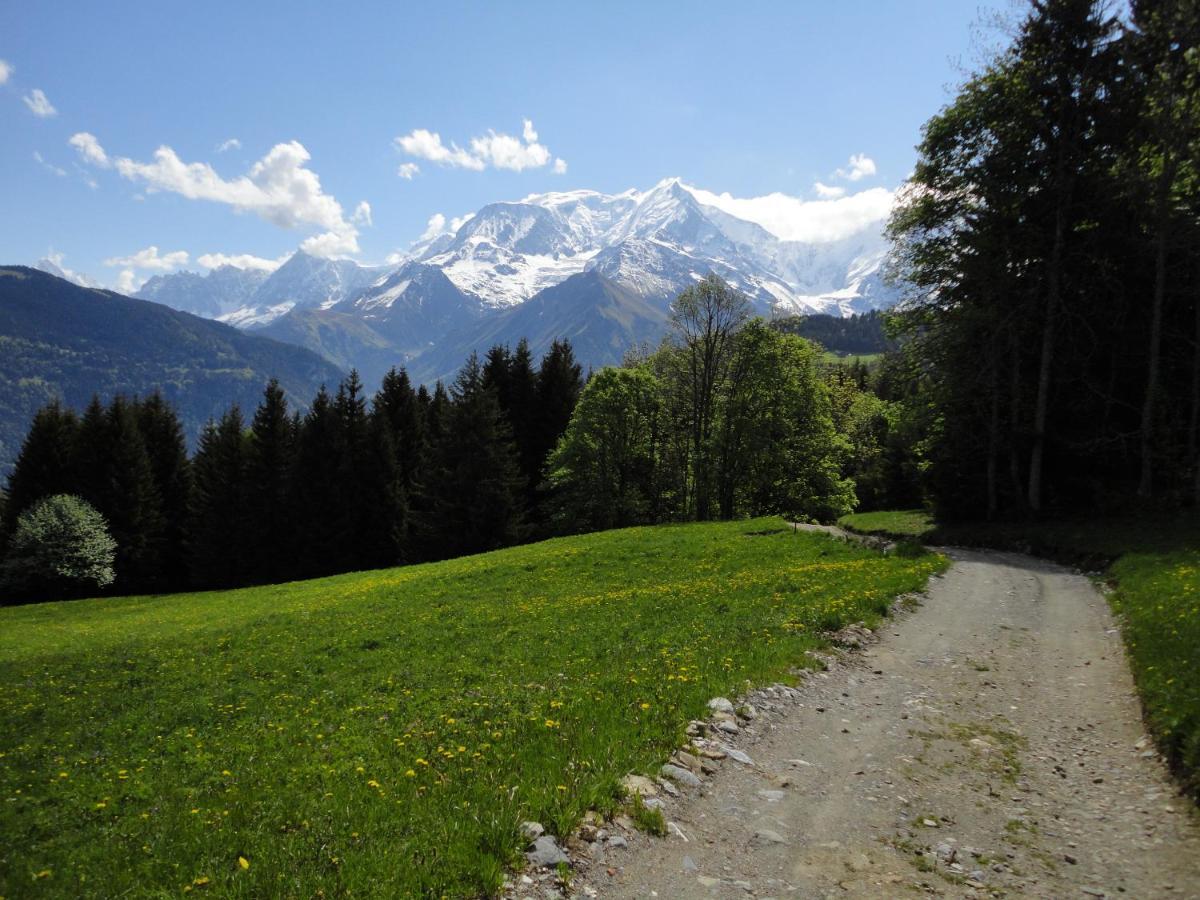 Duo Des Alpages Appartement Saint-Gervais-les-Bains Buitenkant foto